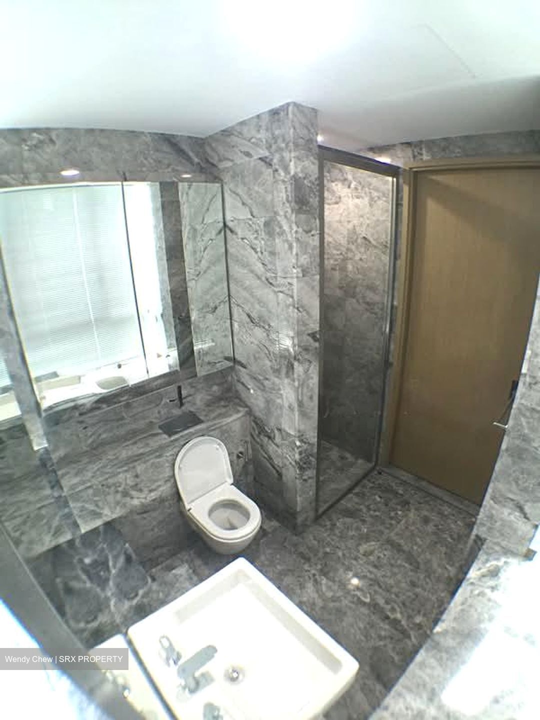 Skyline Residences (D4), Condominium #552277281